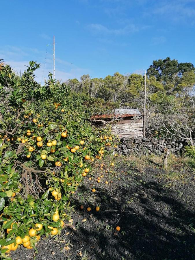 Rosa Do Canto Villa Monte  Exterior photo