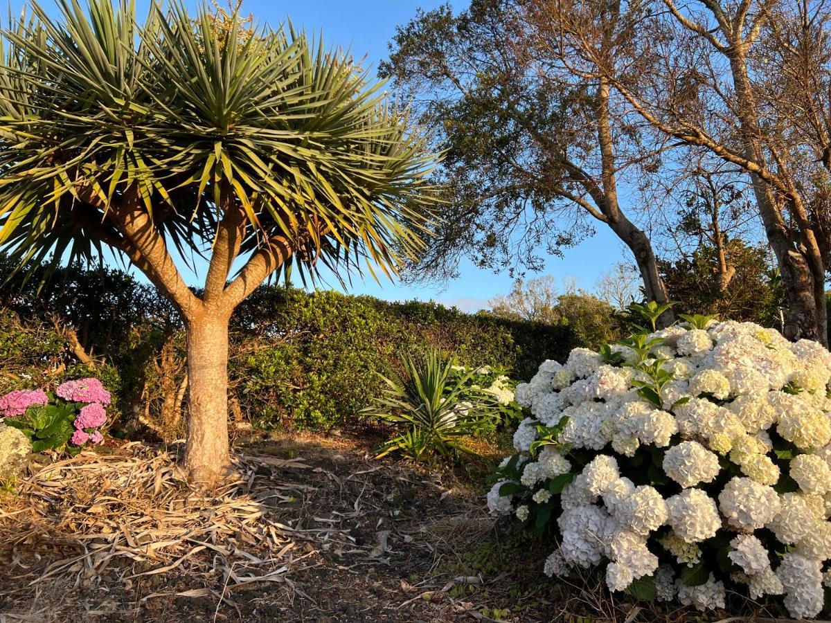 Rosa Do Canto Villa Monte  Exterior photo